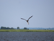 Bombay Hook