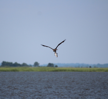Bombay Hook