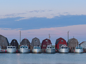 Malpeque Harbour Panorama
