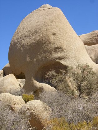 Joshua Tree Nat'l Monument