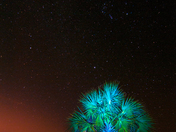 Everglades National Park