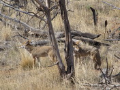 Mesa Verde National Park