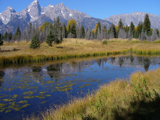 Grand Teton National Park