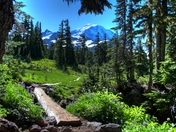 Mount Rainier National Park