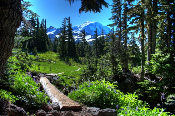 Mount Rainier National Park