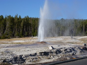 Yellowstone National Park