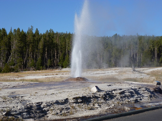 Yellowstone National Park