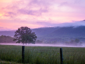 Great Smoky Mountains National Park