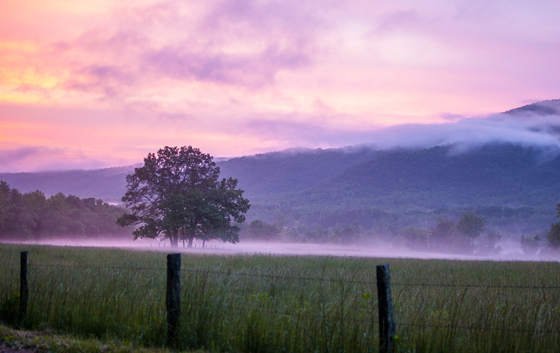 Great Smoky Mountains National Park