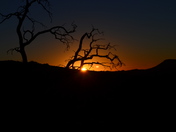 Mojave National Preserve