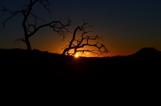 Mojave National Preserve