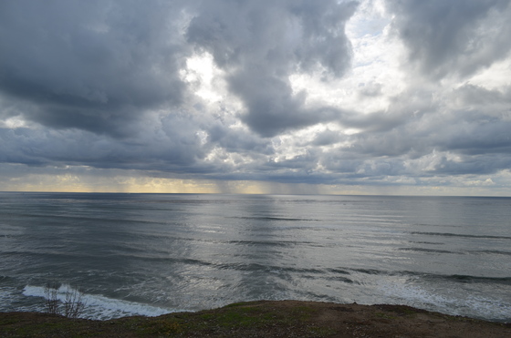 cabrillo  park