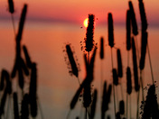 Sunrise on the Atlantic