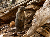 Lassen Volcanic National Park