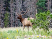 Rocky Mountain National Park