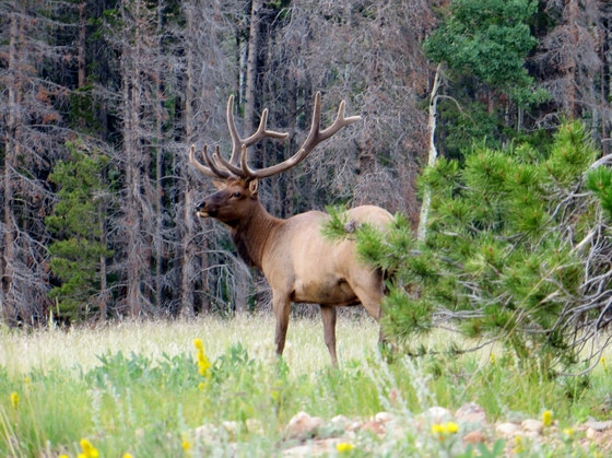 Rocky Mountain National Park