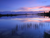 Everglades National Park