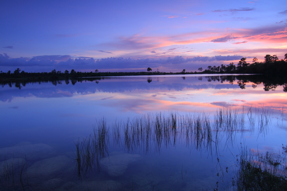 Everglades National Park