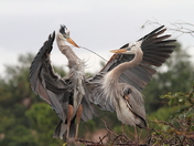 Everglades National Park