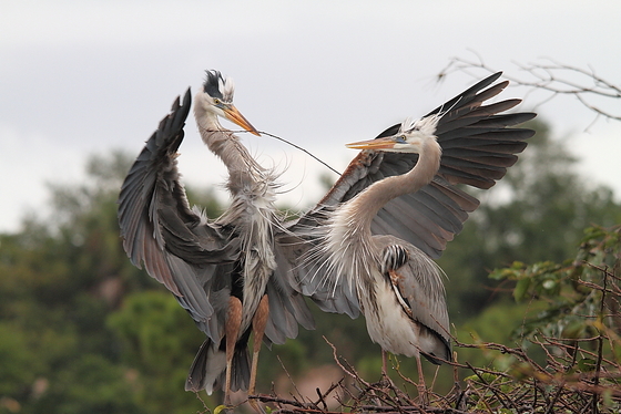 Everglades National Park