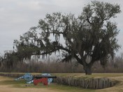 Chalmette Battlefield