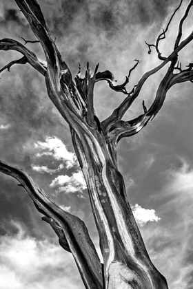 Grand Canyon National Park