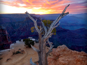 Grand Canyon National Park