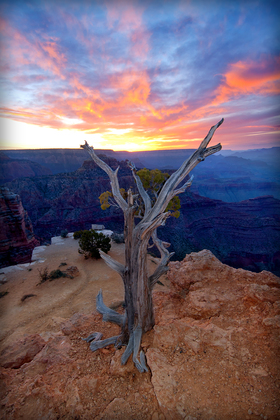 Grand Canyon National Park