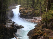 Mt Rainier National Park