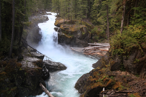 Mt Rainier National Park