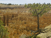 Bryce Canyon National Park