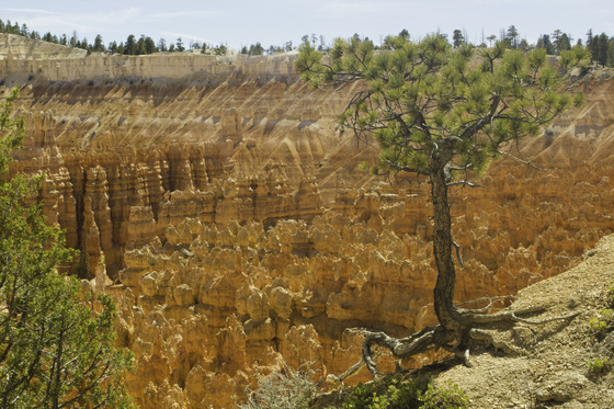 Bryce Canyon National Park