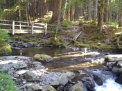 Sol Duc/ Lovers Trail: Olympic National Forest Washington