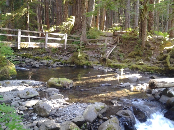 Sol Duc/ Lovers Trail: Olympic National Forest Washington