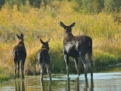 Grand Tetons National Park