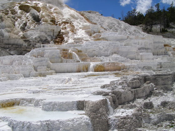 Yellowstone National Park