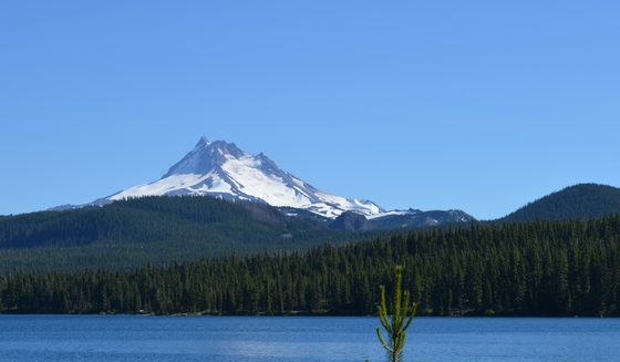 Olallie Lake Guard Station