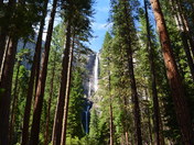 Yosemite