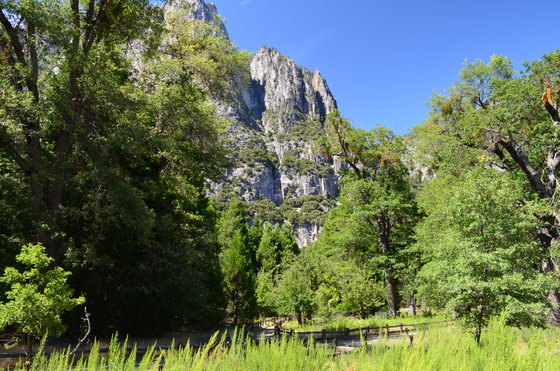 Yosemite National Park