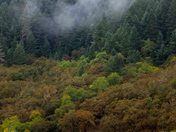 Rogue River