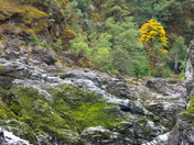 Rogue River