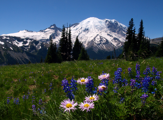 Mount Rainier National Park