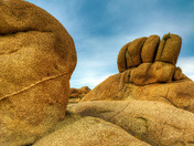 Joshua Tree National Park