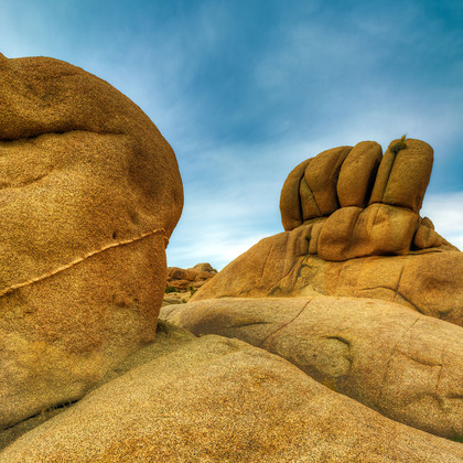 Joshua Tree National Park
