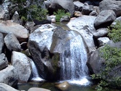 Yosemite National Park