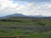 Grand Teton National Park