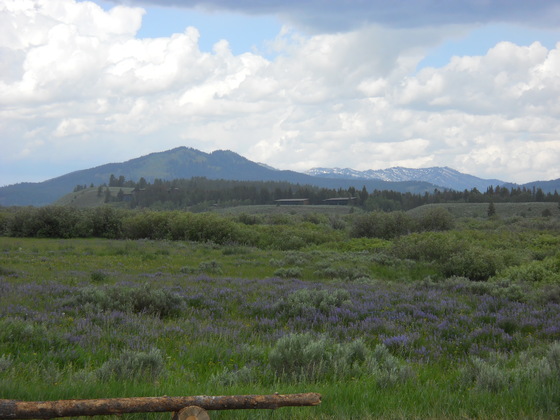 Grand Teton National Park