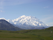 Denali National Park