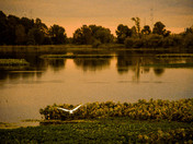 John Heinz Wildlife Refuge