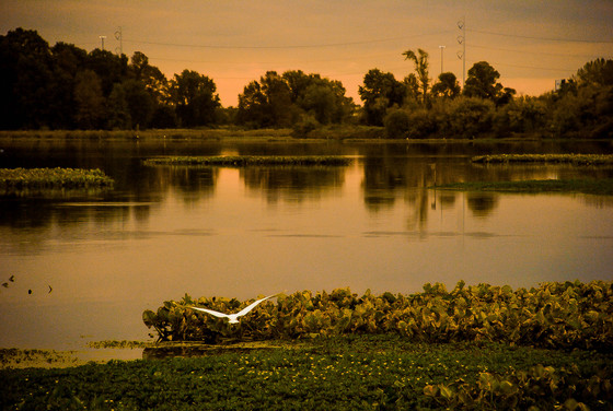 John Heinz Wildlife Refuge